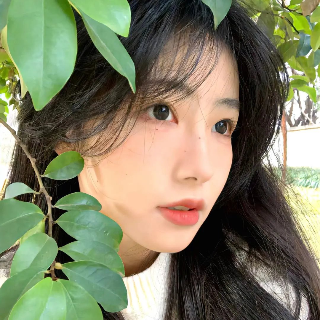 弃宝之岛：遥与魔法镜