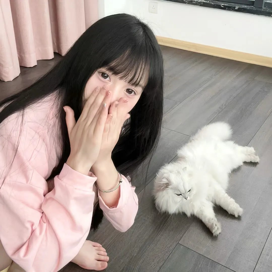 汤姆猫与杰利鼠：间谍使命